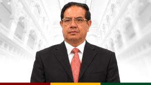 Viceministerio de Seguridad Ciudadana y Prevención del Delito