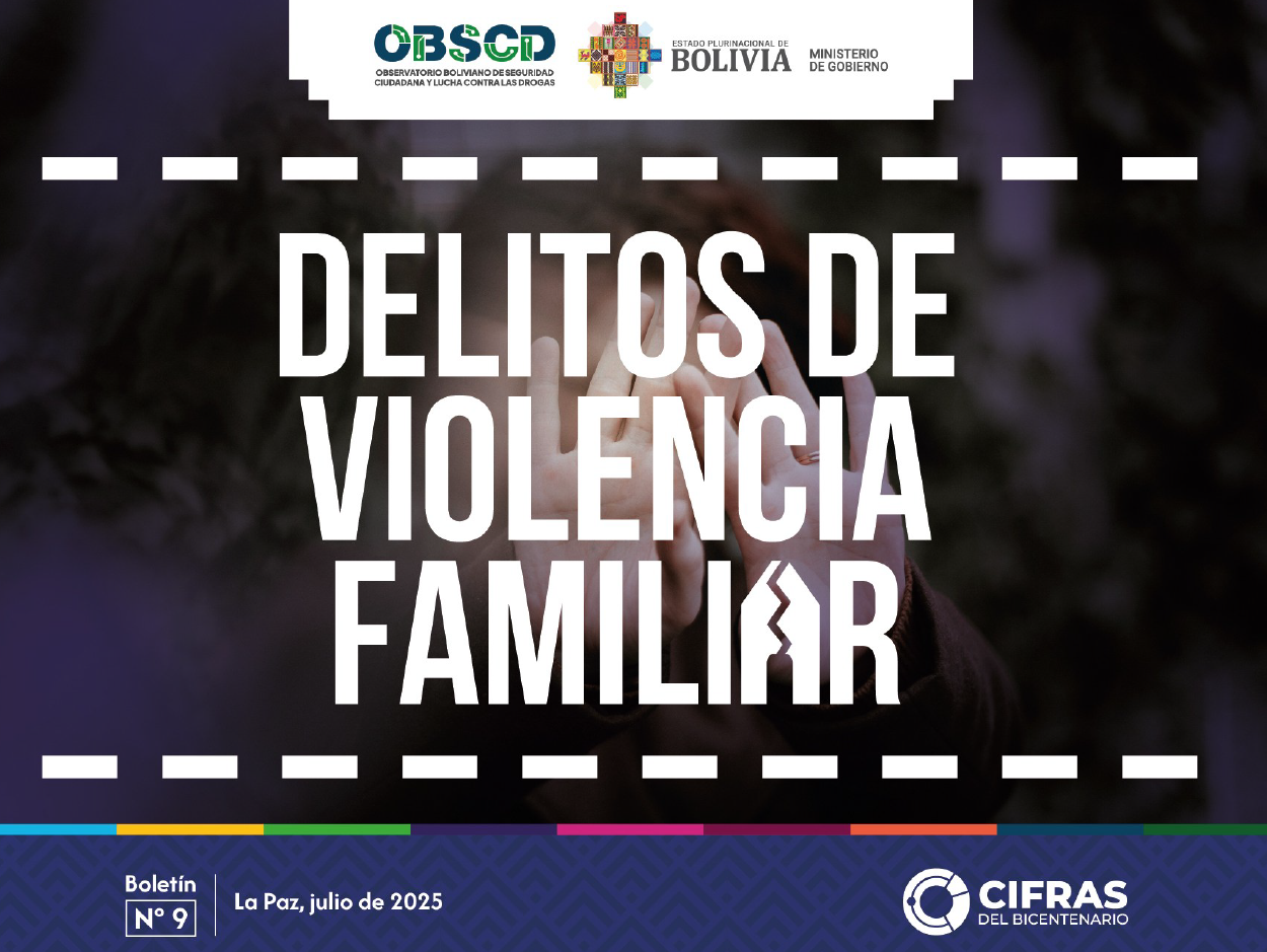 Delitos de violencia familiar – Boletín N° 9 (a mar. 2025)