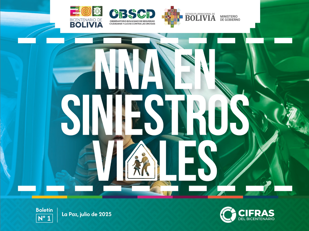 NNA en Siniestros Viales – Boletín N° 1 (1er trim. 2025)