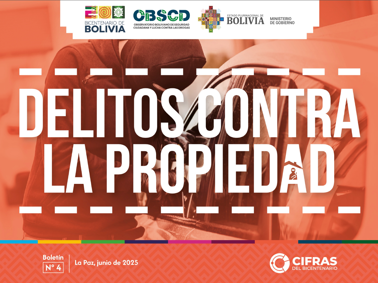 Delitos contra la propiedad – Boletín N° 4 (1er trim. 2025)