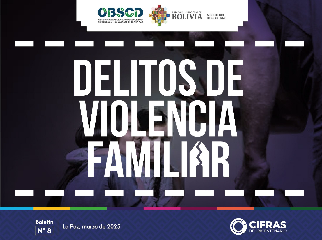 Delitos de violencia familiar – Boletín N° 8 (cierre 2024)