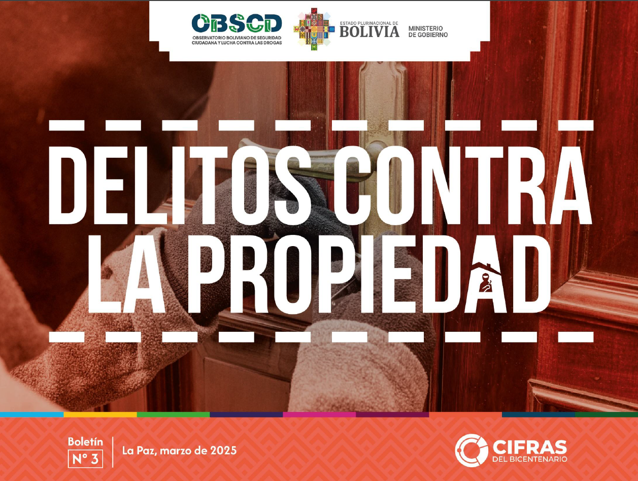 Delitos contra la propiedad – Boletín N° 3 (cierre 2024)