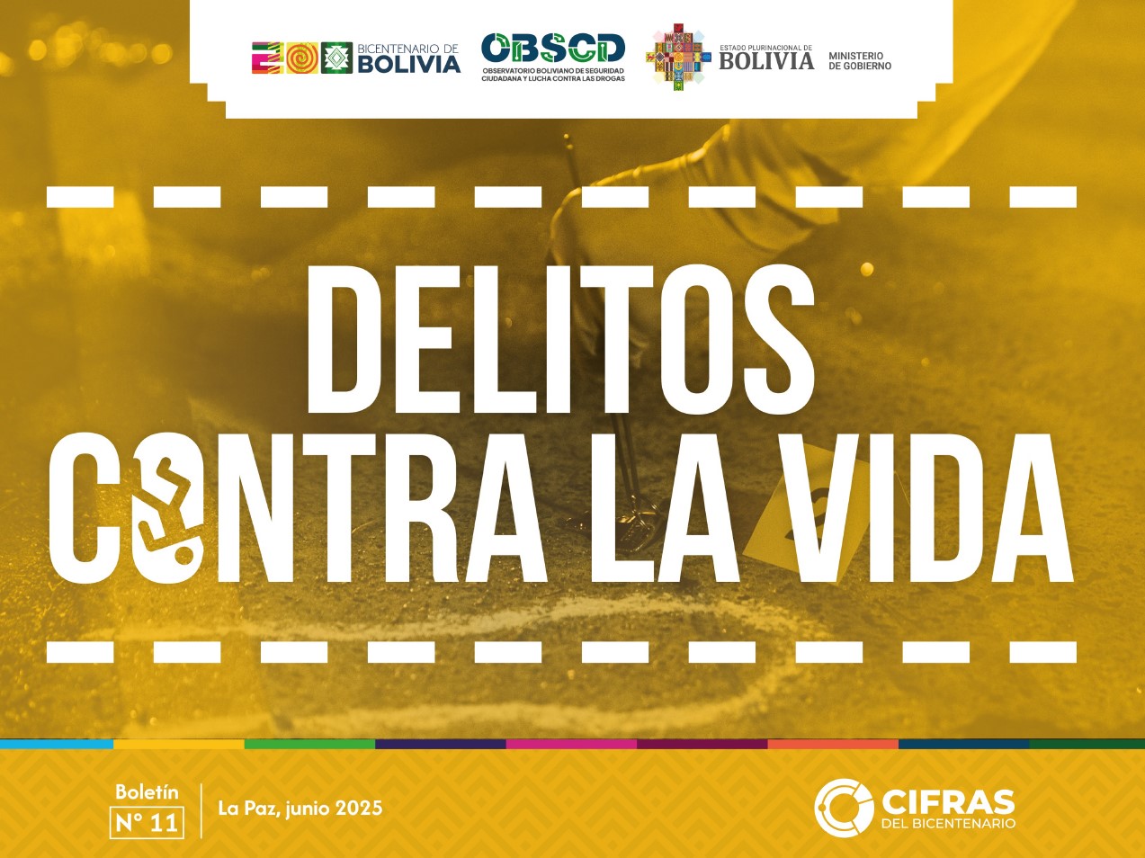 Delitos contra la vida – Boletín N° 11 (a jun. 2025)