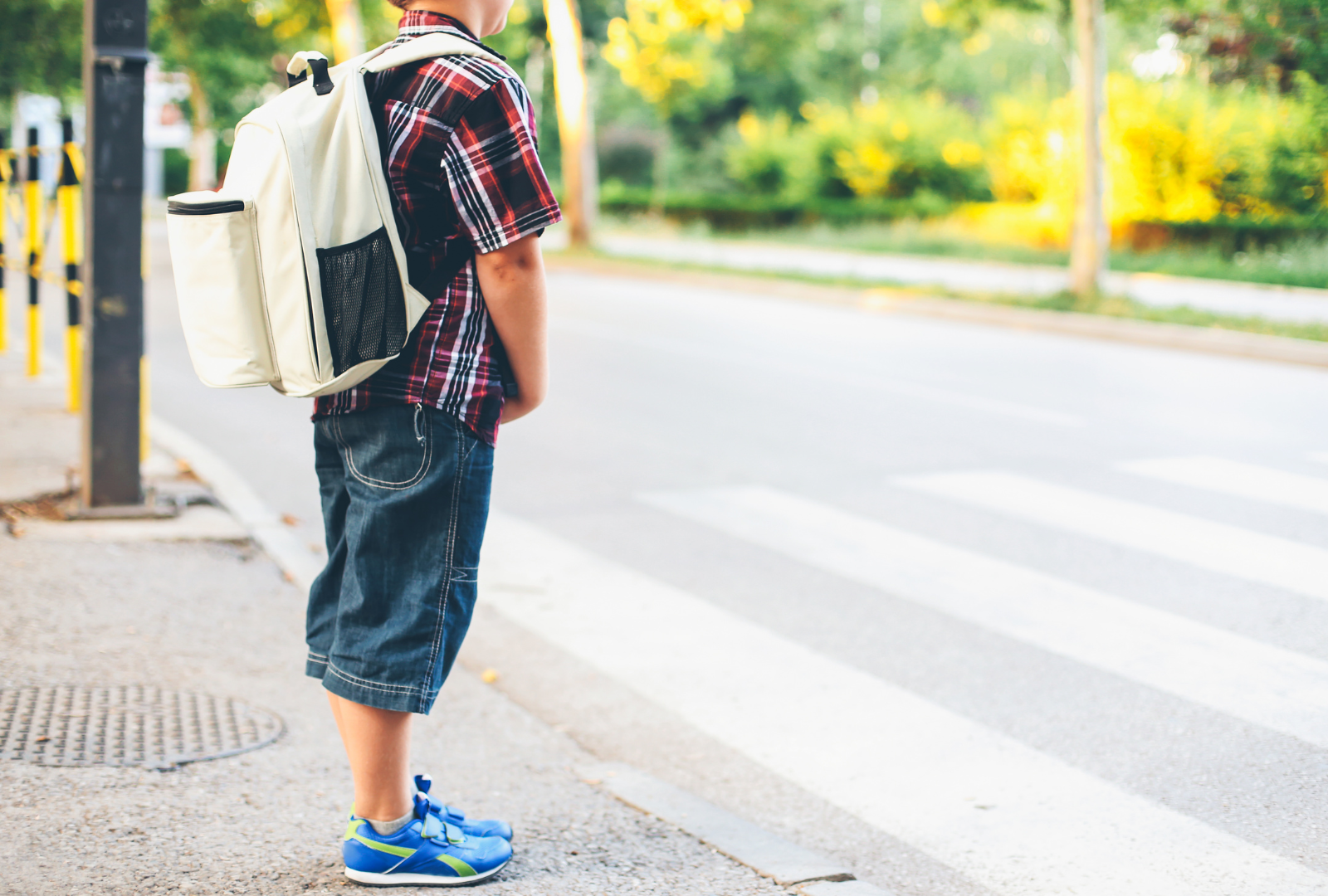 DÍA INTERNACIONAL DE LA EDUCACIÓN VIAL