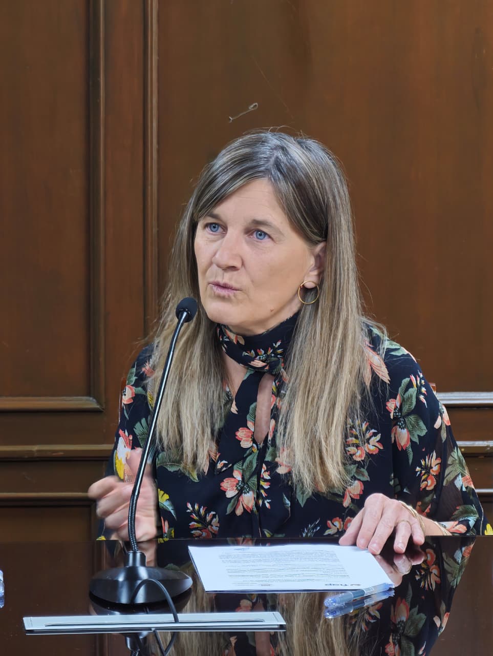 María Antonia Díez García - Directora de Proyecto Apoyo Policial de la UE de la Fuerza Especial de la Policía de Bolivia para la Lucha Contra el Crimen Organizado.